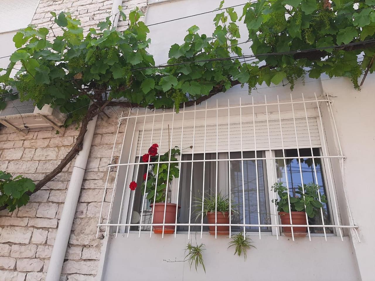 Sofia'S Modern Apartment Gjirokastër Eksteriør bilde