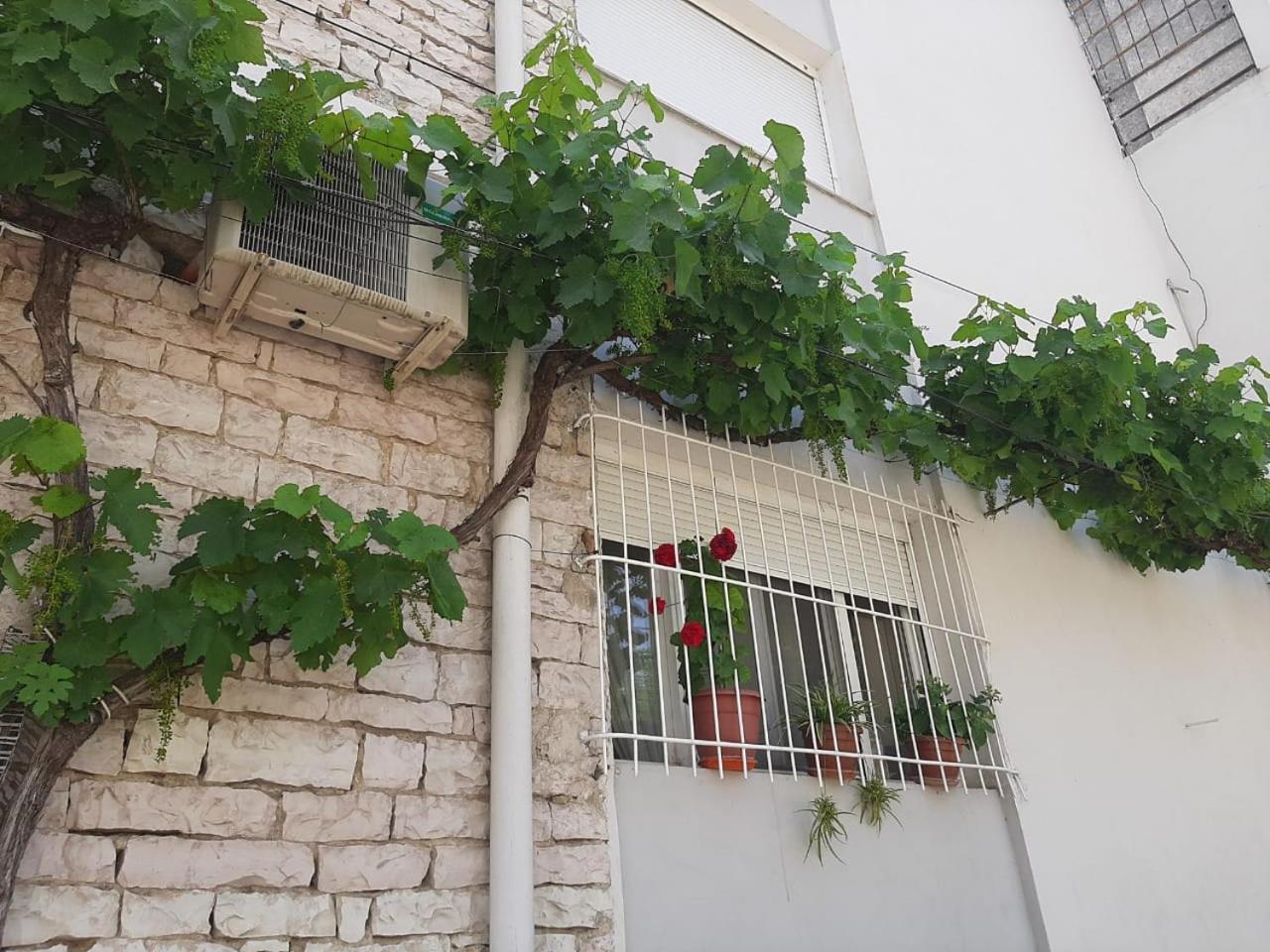 Sofia'S Modern Apartment Gjirokastër Eksteriør bilde